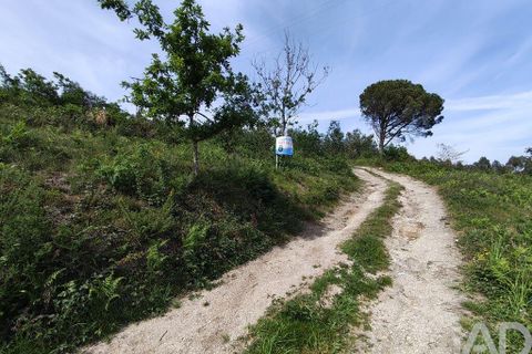 Terra a Guimaraes, Braga, Guimaraes - € 125.000 | Ref: 848339 - foto 14