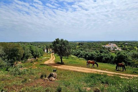 Helårsgrund i Sagres, Faro, Sagres - € 225.000 | Ref: 872063 - foto 1