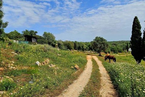 Helårsgrund i Sagres, Faro, Sagres - € 225.000 | Ref: 872063 - foto 4