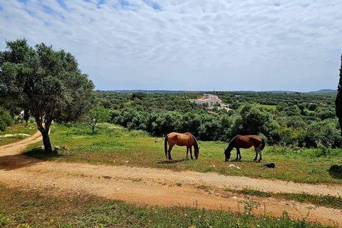 Helårsgrund i Sagres, Faro, Sagres - € 225.000 | Ref: 872063 - foto 7