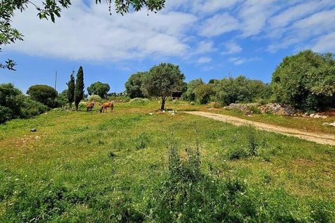 Helårsgrund i Sagres, Faro, Sagres - € 225.000 | Ref: 872063 - foto 11