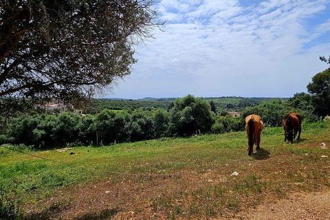 Helårsgrund i Sagres, Faro, Sagres - € 225.000 | Ref: 872063 - foto 12