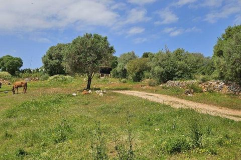 Helårsgrund i Sagres, Faro, Sagres - € 225.000 | Ref: 872063 - foto 13