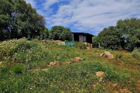 Helårsgrund i Sagres, Faro, Sagres - € 225.000 | Ref: 872063 - foto 20