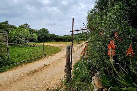 Helårsgrund i Sagres, Faro, Sagres - € 225.000 | Ref: 872063 - foto 24