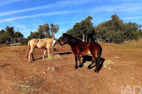 Helårsgrund i Sagres, Faro, Sagres - € 225.000 | Ref: 872063 - foto 33