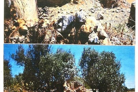 Helårsgrund i Sagres, Faro, Sagres - € 225.000 | Ref: 872063 - foto 35