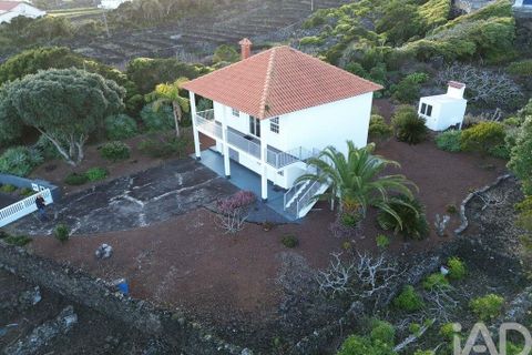 Byhus i Lajes do Pico, Pico, Lajes do Pico - € 350.000 | Ref: 854377 - foto 20
