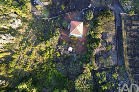 Byhus i Lajes do Pico, Pico, Lajes do Pico - € 350.000 | Ref: 854377 - foto 16