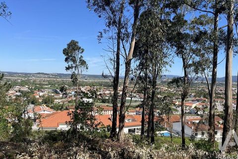 Terra a Coimbra, Coimbra, Coimbra - € 55.000 | Ref: 813994 - foto 2