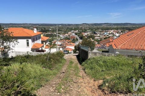 Terra a Coimbra, Coimbra, Coimbra - € 55.000 | Ref: 813994 - foto 6