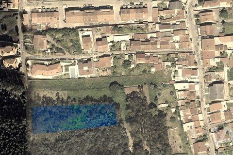 Terra a Coimbra, Coimbra, Coimbra - € 55.000 | Ref: 813994 - foto 8