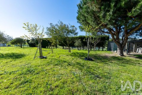 Byhus i Bombarral, Leiria, Bombarral - € 850.000 | Ref: 862777 - foto 36
