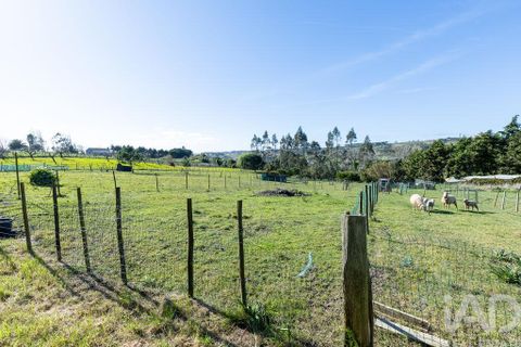 Byhus i Bombarral, Leiria, Bombarral - € 850.000 | Ref: 862777 - foto 37