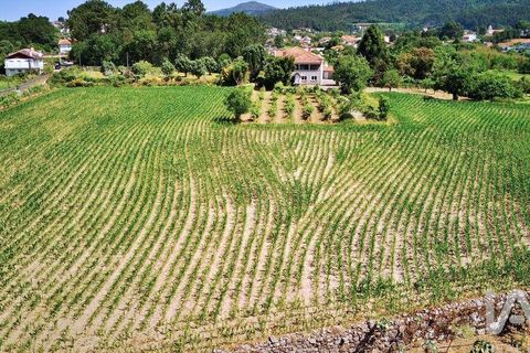 Byhus i Viana do Castelo, Viana do Castelo, Viana do Castelo - € 940.000 | Ref: 55754 - foto 12