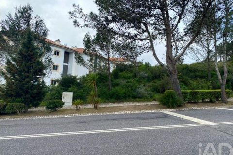 Terra a Sintra, Lisbon, Sintra - € 2.900.000 | Ref: 871166 - foto 5