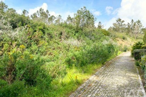 Terra a Sintra, Lisbon, Sintra - € 2.900.000 | Ref: 871166 - foto 7