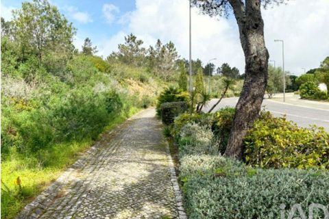 Terra a Sintra, Lisbon, Sintra - € 2.900.000 | Ref: 871166 - foto 8