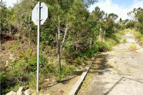 Terra a Sintra, Lisbon, Sintra - € 2.900.000 | Ref: 871166 - foto 9