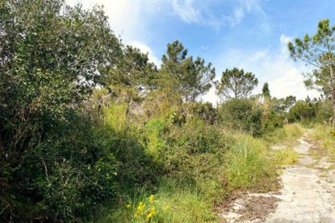Terra a Sintra, Lisbon, Sintra - € 2.900.000 | Ref: 871166 - foto 10