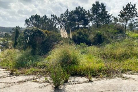 Terra a Sintra, Lisbon, Sintra - € 2.900.000 | Ref: 871166 - foto 13