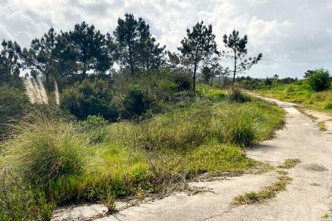 Terra a Sintra, Lisbon, Sintra - € 2.900.000 | Ref: 871166 - foto 14