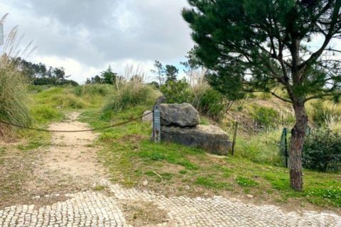 Terra a Sintra, Lisbon, Sintra - € 2.900.000 | Ref: 871166 - foto 16