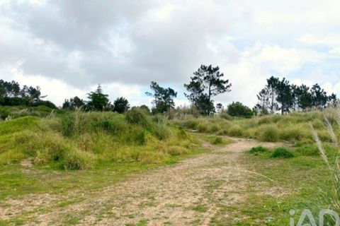 Terra a Sintra, Lisbon, Sintra - € 2.900.000 | Ref: 871166 - foto 17