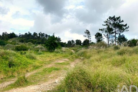 Terra a Sintra, Lisbon, Sintra - € 2.900.000 | Ref: 871166 - foto 18