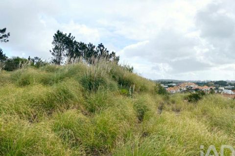 Terra a Sintra, Lisbon, Sintra - € 2.900.000 | Ref: 871166 - foto 19