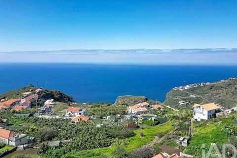 Terra a Ribeira Brava, Madeira, Ribeira Brava - € 149.000 | Ref: 849753 - foto 3