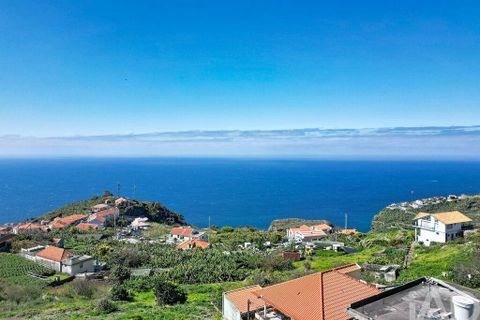 Terra a Ribeira Brava, Madeira, Ribeira Brava - € 149.000 | Ref: 849753 - foto 13