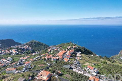 Terra a Ribeira Brava, Madeira, Ribeira Brava - € 149.000 | Ref: 849753 - foto 14