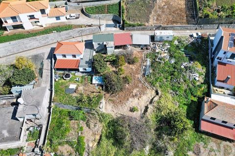 Terra a Ribeira Brava, Madeira, Ribeira Brava - € 149.000 | Ref: 849753 - foto 15