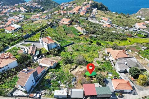Terra a Ribeira Brava, Madeira, Ribeira Brava - € 149.000 | Ref: 849753 - foto 20