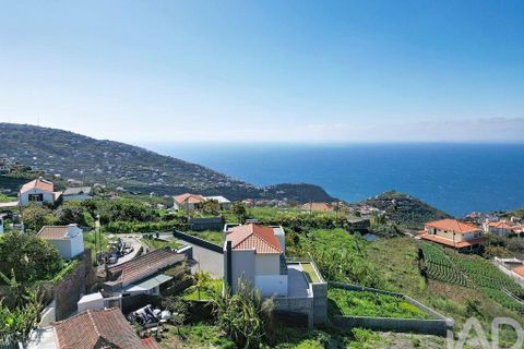Terra a Ribeira Brava, Madeira, Ribeira Brava - € 149.000 | Ref: 849753 - foto 22