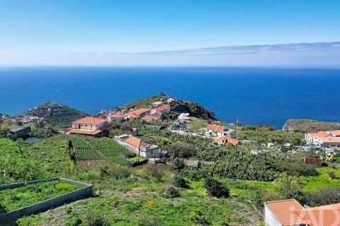 Terra a Ribeira Brava, Madeira, Ribeira Brava - € 149.000 | Ref: 849753 - foto 23