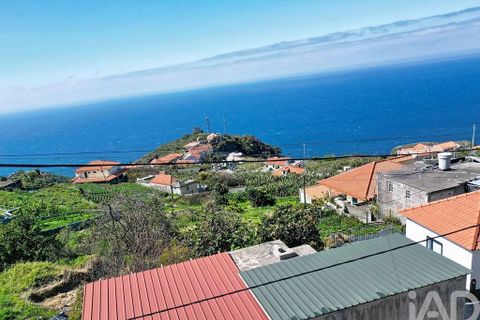 Terra a Ribeira Brava, Madeira, Ribeira Brava - € 149.000 | Ref: 849753 - foto 24