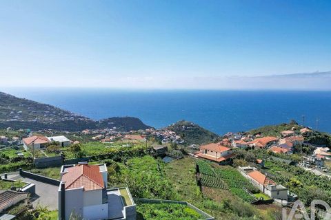 Terra a Ribeira Brava, Madeira, Ribeira Brava - € 149.000 | Ref: 849753 - foto 25