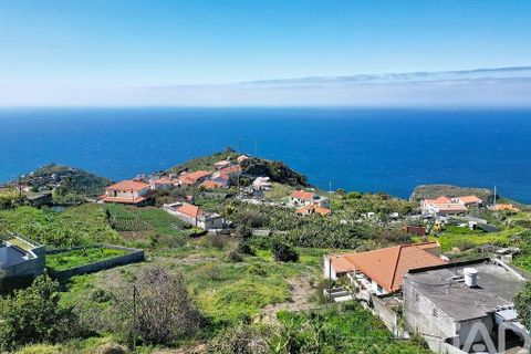 Terra a Ribeira Brava, Madeira, Ribeira Brava - € 149.000 | Ref: 849753 - foto 29