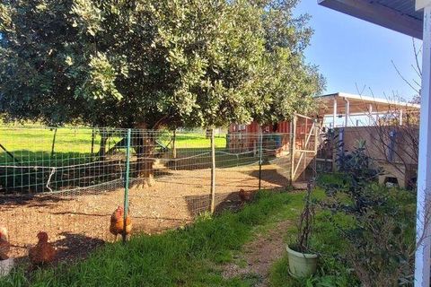 Helårsgrund i Albufeira, Faro, Albufeira - € 350.000 | Ref: 870453 - foto 7