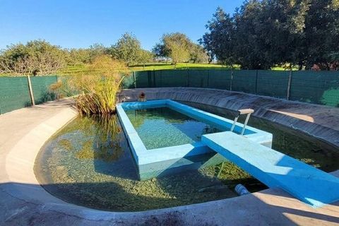 Helårsgrund i Albufeira, Faro, Albufeira - € 350.000 | Ref: 870453 - foto 13