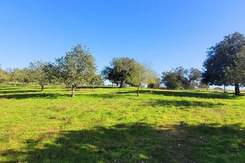 Helårsgrund i Albufeira, Faro, Albufeira - € 350.000 | Ref: 870453 - foto 15