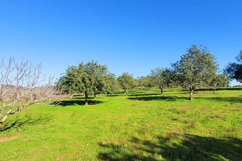 Helårsgrund i Albufeira, Faro, Albufeira - € 350.000 | Ref: 870453 - foto 16