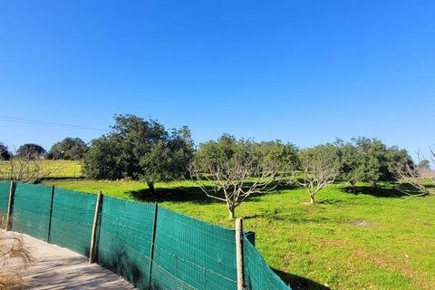 Helårsgrund i Albufeira, Faro, Albufeira - € 350.000 | Ref: 870453 - foto 19