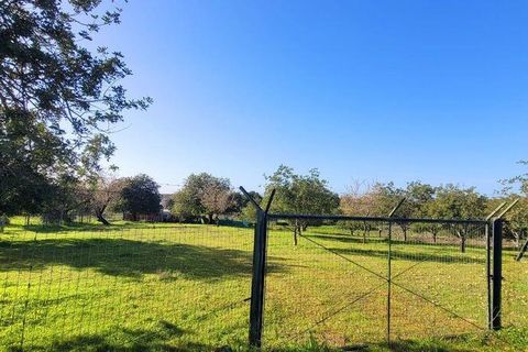Helårsgrund i Albufeira, Faro, Albufeira - € 350.000 | Ref: 870453 - foto 22