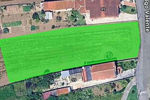 Terra a Estarreja, Aveiro, Estarreja - € 60.000 | Ref: 869095 - foto 4