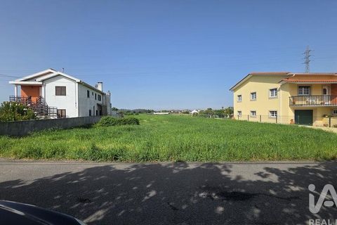 Terra a Estarreja, Aveiro, Estarreja - € 60.000 | Ref: 869095 - foto 2
