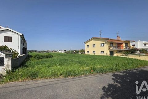 Terra a Estarreja, Aveiro, Estarreja - € 60.000 | Ref: 869095 - foto 3