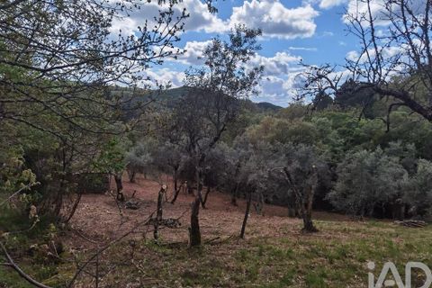 Byhus i Gouveia, Guarda, Gouveia - € 25.000 | Ref: 98607 - foto 5